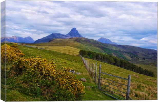 Fence Leading In to Stac Pollaidh Canvas Print by Jacqi Elmslie