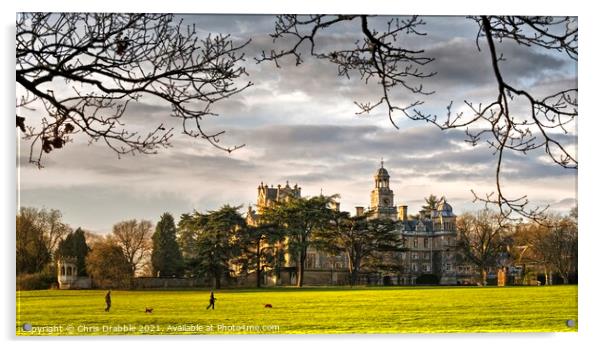 Thoresby Hall in the last light of the day Acrylic by Chris Drabble