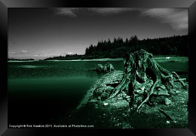 The Resevoir Framed Print by Rob Hawkins