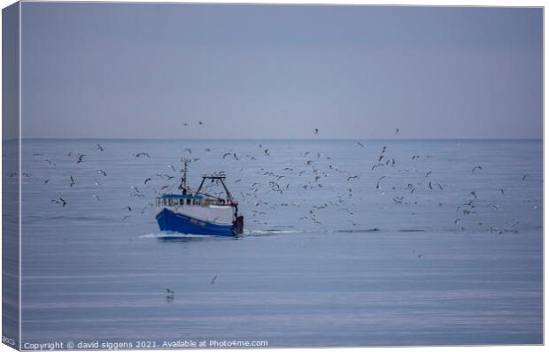 Blyth Boat and seabirds Canvas Print by david siggens