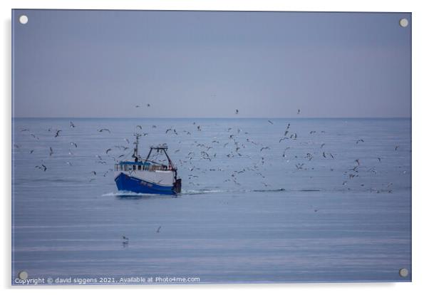 Blyth Boat and seabirds Acrylic by david siggens