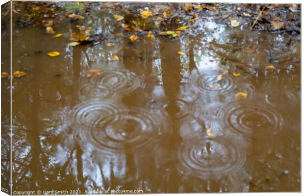 Raindrops  Canvas Print by GJS Photography Artist