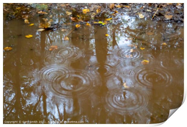 Raindrops  Print by GJS Photography Artist