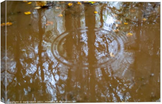Raindrops in Reflection Canvas Print by GJS Photography Artist
