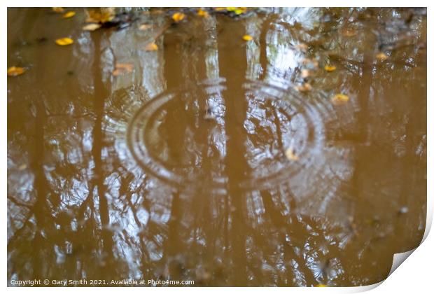 Raindrops in Reflection Print by GJS Photography Artist