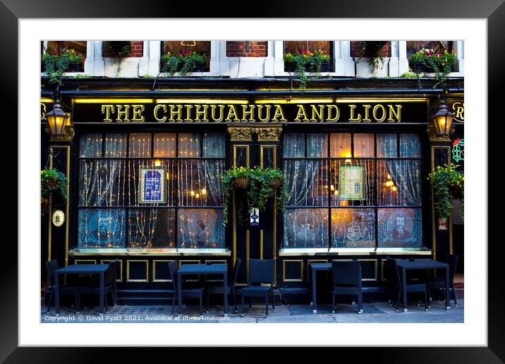Chihuahua And Lion Pub  Framed Mounted Print by David Pyatt