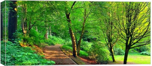 Bold Venture Park Canvas Print by Michele Davis