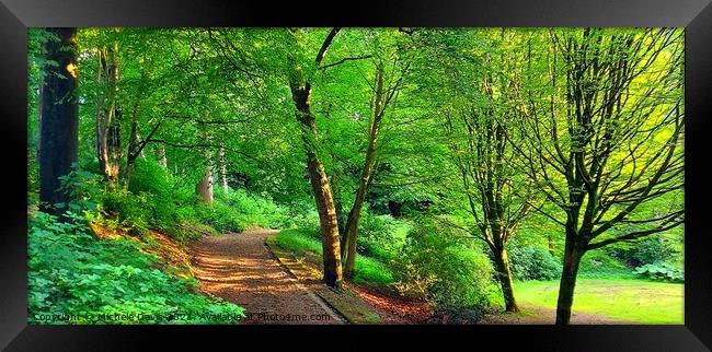 Bold Venture Park Framed Print by Michele Davis