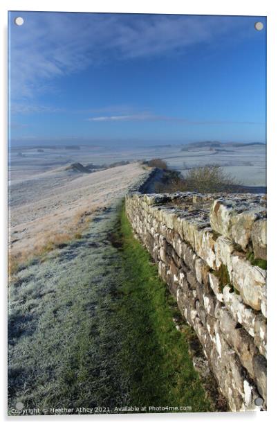 Frost on Hadrian's Wall Acrylic by Heather Athey
