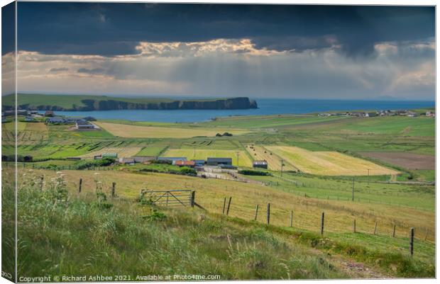 Harvest time at Bigton in Shetland Canvas Print by Richard Ashbee