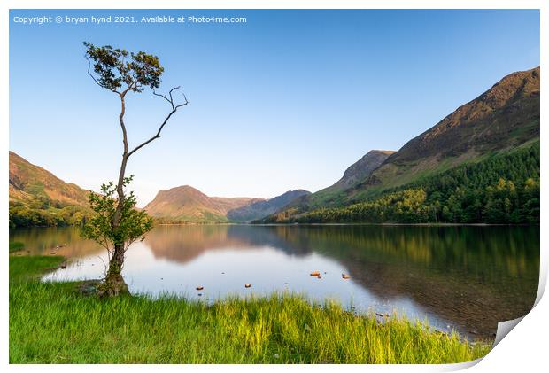 Loan Tree at Buttermere Print by bryan hynd