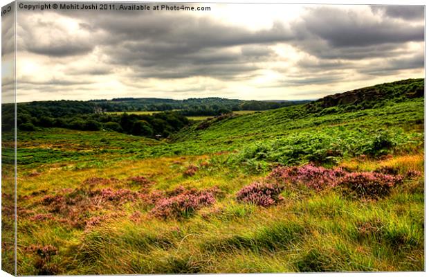 Burbage Valley2 Canvas Print by Mohit Joshi