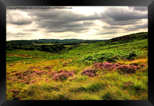 Burbage Valley2 Framed Print by Mohit Joshi
