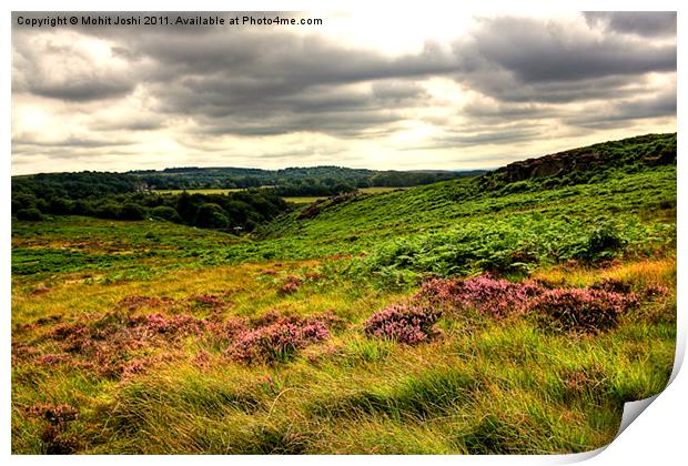 Burbage Valley2 Print by Mohit Joshi