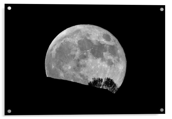 Full Moon Rising Behind Trees Acrylic by Susan Snow