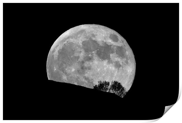 Full Moon Rising Behind Trees Print by Susan Snow