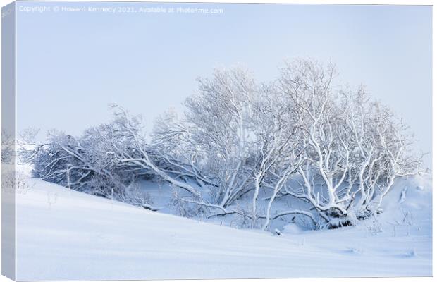 Tree buried in snowdrift on Rannoch Moor Canvas Print by Howard Kennedy