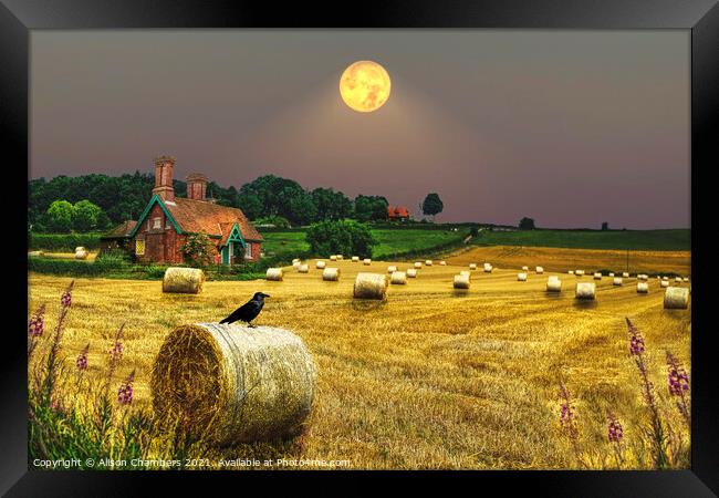 Harvest Moon Framed Print by Alison Chambers