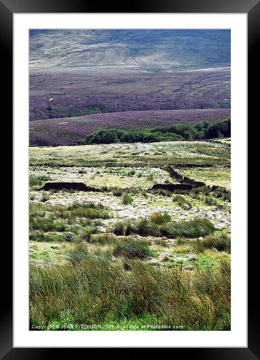 Moorland Heather Framed Mounted Print by JEAN FITZHUGH