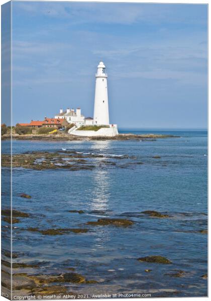 St Mary's Lighthouse Canvas Print by Heather Athey
