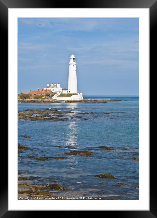 St Mary's Lighthouse Framed Mounted Print by Heather Athey