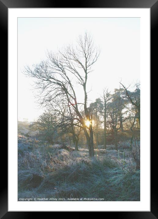 Winter Sun Framed Mounted Print by Heather Athey