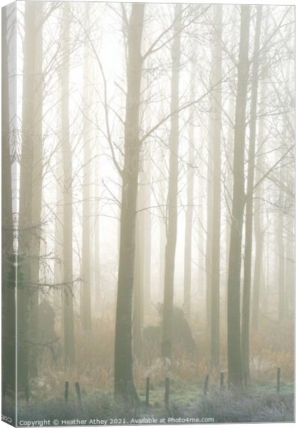 Mist in the wood Canvas Print by Heather Athey