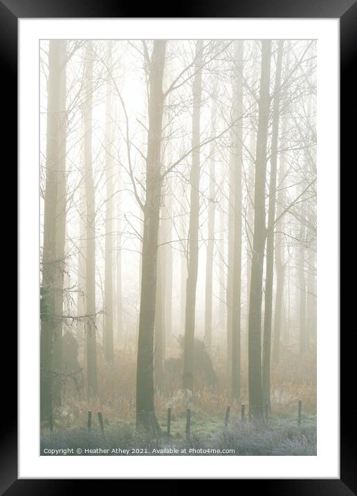 Mist in the wood Framed Mounted Print by Heather Athey