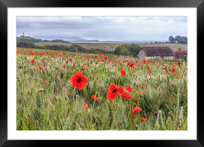 Poppy Field  Framed Mounted Print by James Marsden