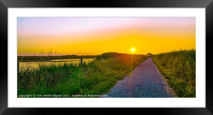 Into the sunset  Framed Mounted Print by Tom Hartfil-Allgood