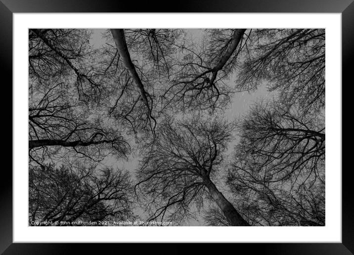 trees at night Framed Mounted Print by john cruttenden