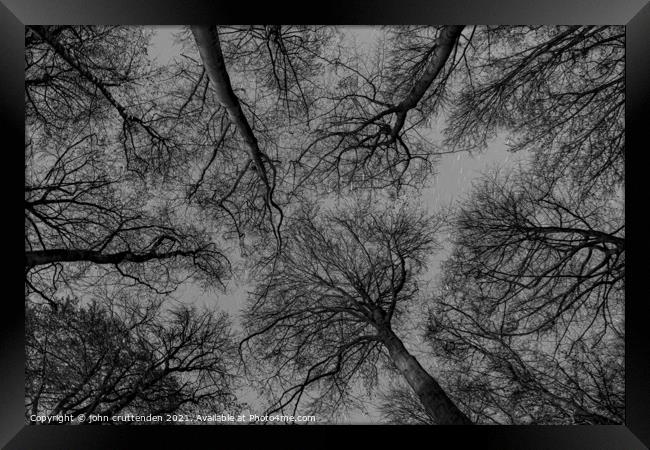 trees at night Framed Print by john cruttenden