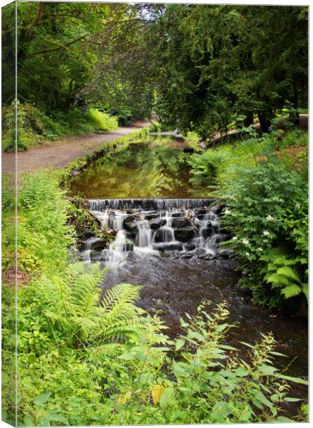 A path by the stream Canvas Print by David McCulloch