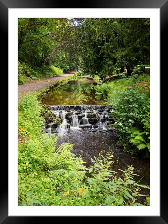 A path by the stream Framed Mounted Print by David McCulloch