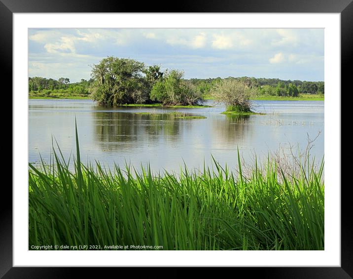 DOWN IN FLORIDA..flat as a pancake Framed Mounted Print by dale rys (LP)