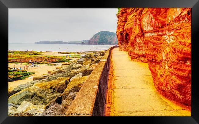 Cliff Walkway Sidmouth Framed Print by Peter F Hunt