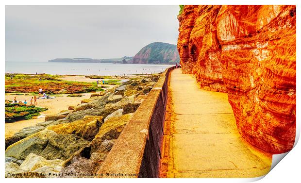 Cliff Walkway Sidmouth Print by Peter F Hunt