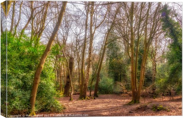 Eastham Woods Wirral Canvas Print by Phil Longfoot