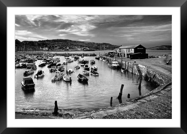 Lyme Regis Harbour  Framed Mounted Print by Darren Galpin