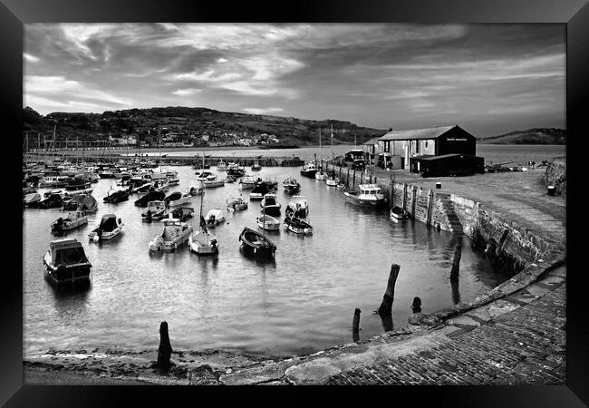 Lyme Regis Harbour  Framed Print by Darren Galpin