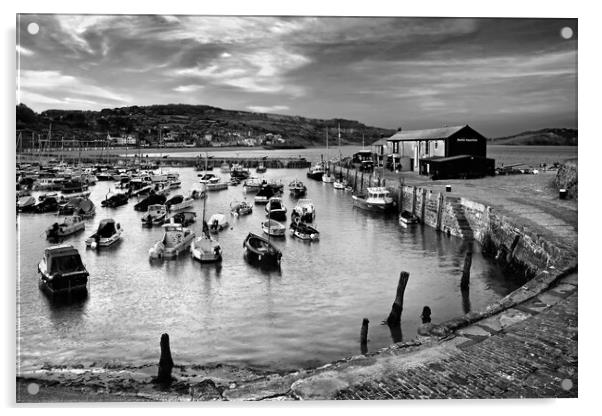Lyme Regis Harbour  Acrylic by Darren Galpin