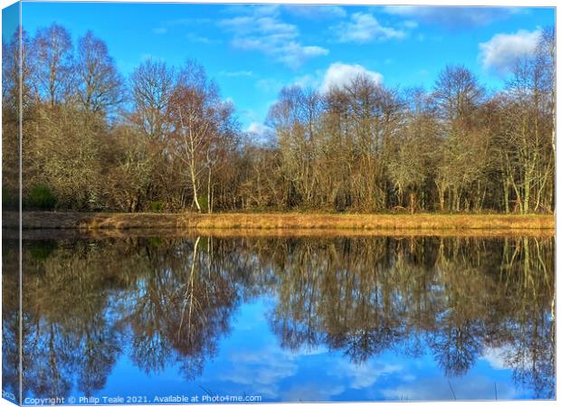 Outdoor waterside Canvas Print by Philip Teale