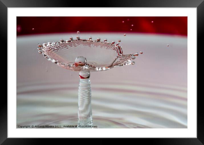 Water Drop Collision Pearl in Shell Framed Mounted Print by Antonio Ribeiro