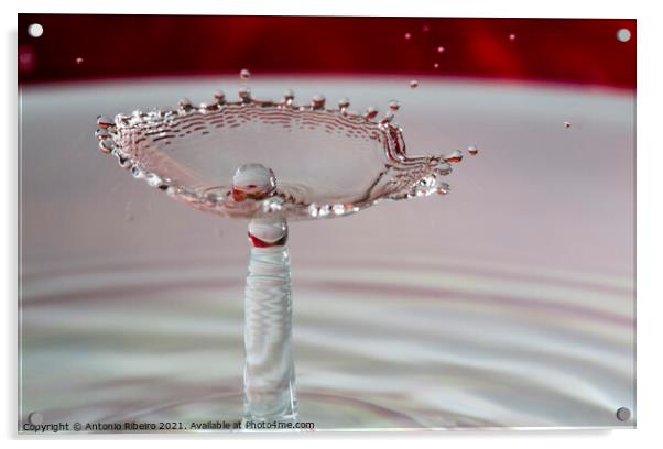 Water Drop Collision Pearl in Shell Acrylic by Antonio Ribeiro