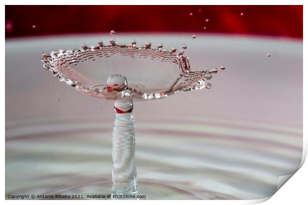 Water Drop Collision Pearl in Shell Print by Antonio Ribeiro