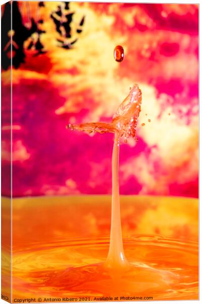 Water Drop Collision - Butterfly Canvas Print by Antonio Ribeiro