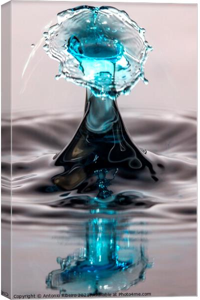 Water Drop Collision and Reflection Canvas Print by Antonio Ribeiro
