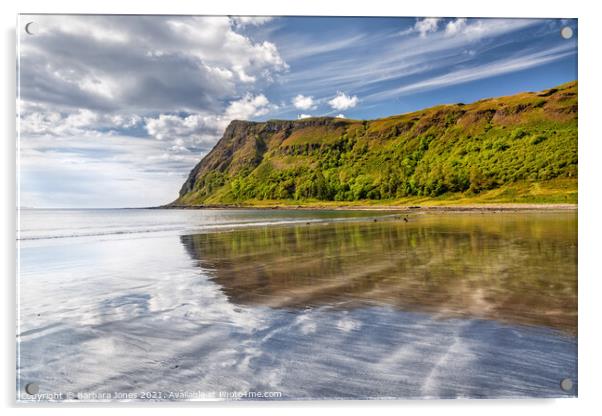 Carsaig Cliffs Isle of Mull Inner Hebrides Scotlan Acrylic by Barbara Jones