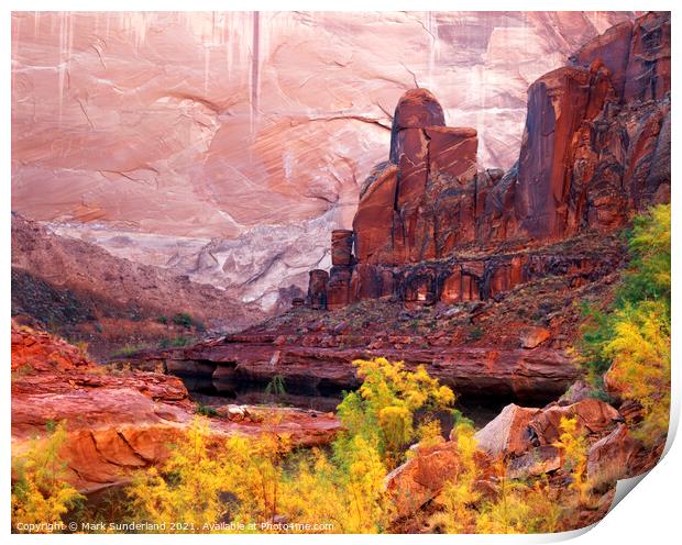 Cow Canyon Print by Mark Sunderland