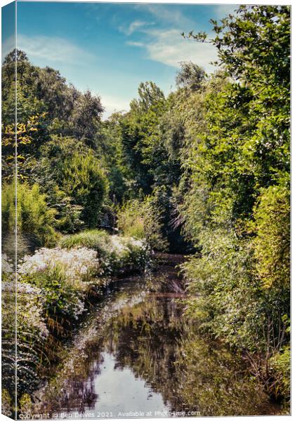 summertime foliage Canvas Print by Ben Delves